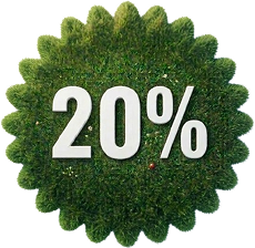 20%